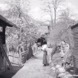 Dorf bei Meran, ca 1927