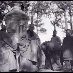 Peking