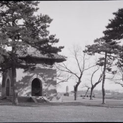 Peking